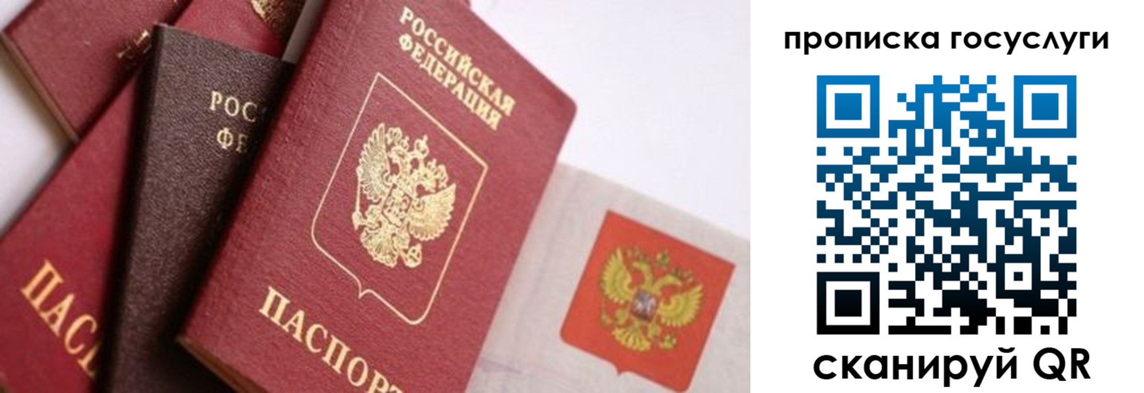 прописка законно в Оби